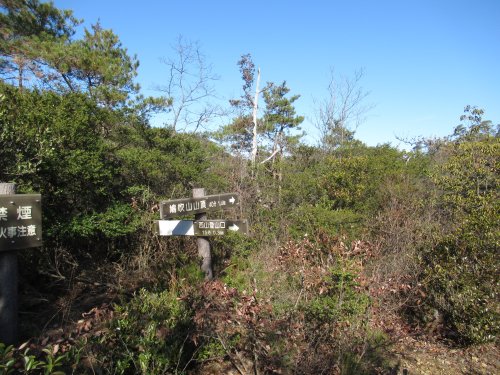 登山道